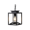 Industrial outdoor pendant light glass adjustable hanging lamp with black finish