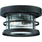 Bronze glass ceiling light fixture industrial farmhouse ceiling lamp