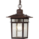 Industrial glass lantern pendant light with Bronze finish
