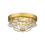 2-Light ceiling mount metal glass kitchen light gold lights and fixtures