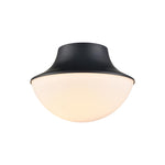 Modern light fixture metal glass ceiling mount matte black ceiling lamp