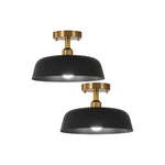 2-Packs ceiling light iron light fixtures black gold led light