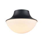 Industrial bowl shape metal light fixture black ceiling light
