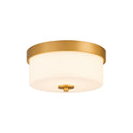 2-Light light fixture metal glass bulb light gold flush mount ceiling fixture