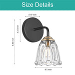 2- Pack wall lights  black sconce light glass bathroom lights