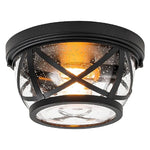 2-Light light fixture black flush mount light glass, metal ceiling light