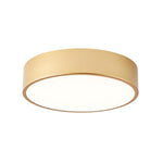 2 light flush mount light iron ceiling lighting gold bedroom light