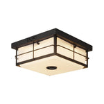 24W ceiling lighting acrylic metal plastic light fixture black kitchen light