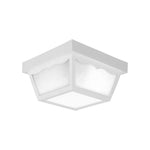 2-Light light fixture acrylic flush mount white ceiling light