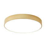24 w led light iron metal light fixtures gold ceiling light