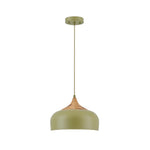 Adjustable pendant lamp metal hanging light moss green vintage chandelier