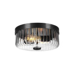 2-light flush mount lamp metal glass ceiling light fixture matte black light fixture