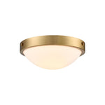 2-Light flush mount ceiling light gold ceiling lights glass light fixture