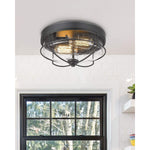 Industrial light fixtures ceiling 2 light glass flush mount