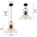 Vintage glass pendant lights black industrial copper