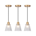 3 Pack shade of lights glass metal dining room gold black bulbs light
