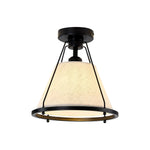 11 Inch light bulb light metal iron light fixture black ceiling light