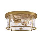 2 light ceiling lights glass metal lighting fixtures brushed gold living room light