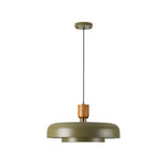 2-Layer pendant lighting wood metal chandelier fixture olive green ceiling lamp