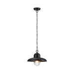12” Light fixture black pendant light glass, iron hanging light