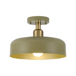 12.6” led light metal light fixture deep green Entryway light