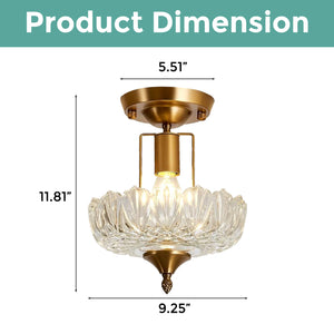 E26 vintage kitchen light clear and gold  hallway fixture light glass and Iron ceiling light