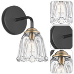 2- Pack wall lights  black sconce light glass bathroom lights