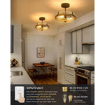 2 light industrial semi flush mount lamp glass black ceiling lighting fixture