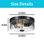 2-light flush mount lamp metal glass ceiling light fixture matte black light fixture