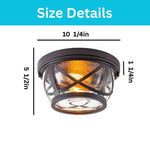 2 light flush led light glass metal hallway light bronze Foyer light