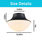 Industrial bowl shape metal light fixture black ceiling light