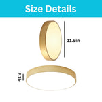 24 w led light iron metal light fixtures gold ceiling light