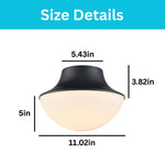 Modern light fixture metal glass ceiling mount matte black ceiling lamp