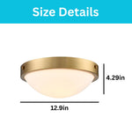 2-Light flush mount ceiling light gold ceiling lights glass light fixture