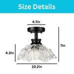 10 Inch ceiling lamp metal glass flush mount black ceiling light
