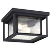 2 light ceiling flush mount industrual black ceiling light fixture