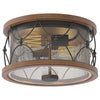 2 light farmhouse flush mount ceiling light clear glass and mesh ceiling lamp