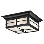 2 light flush mount fixture black ceiling lamp with seeded glass shade