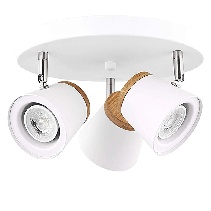 Directional Ceiling Lighting | Shelly Lighting