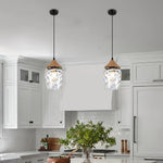 5.9” Pendant chandelier clear hanging lamp glass light fixtures