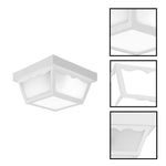 2-Light light fixture acrylic flush mount white ceiling light