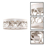 2-Light ceiling light metal flush mount gold ceiling light fixtures