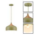 Adjustable pendant lamp metal hanging light moss green vintage chandelier
