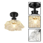 10 Inch ceiling lamp metal glass flush mount black ceiling light