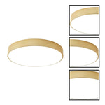 24 w led light iron metal light fixtures gold ceiling light