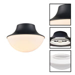 Modern light fixture metal glass ceiling mount matte black ceiling lamp