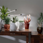 ‎Clip-on countertop led light black grow lights for plants iron, plastic indoor plant light