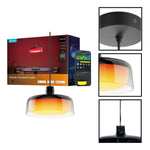 Modern light bulb black light fixture plastic pendant light