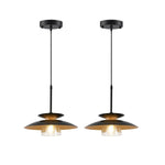 2 Pack light fixture black light for kitchen iron pendant light