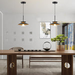 2 Pack light fixture black light for kitchen iron pendant light